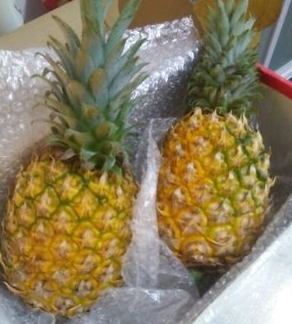 海南香水菠萝2个装（ 5斤左右） 20元券后16.8元包邮 买手党-买手聚集的地方
