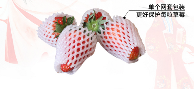 冬季草莓 四川 西昌 红颜草莓3斤装 券后118元发顺丰 买手党-买手聚集的地方