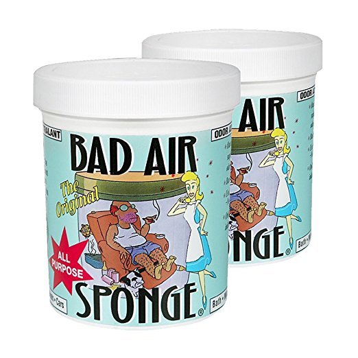 Bad Air Sponge 吸收异味空气净化剂400g*2 159元包邮包税 买手党-买手聚集的地方