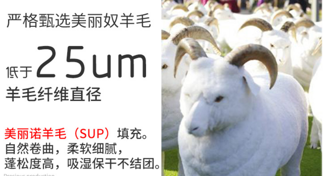 6斤纯澳洲羊毛填充！2.3x2米 香港皇朝家私 100%澳洲羊毛被 Plus会员169元包邮 买手党-买手聚集的地方