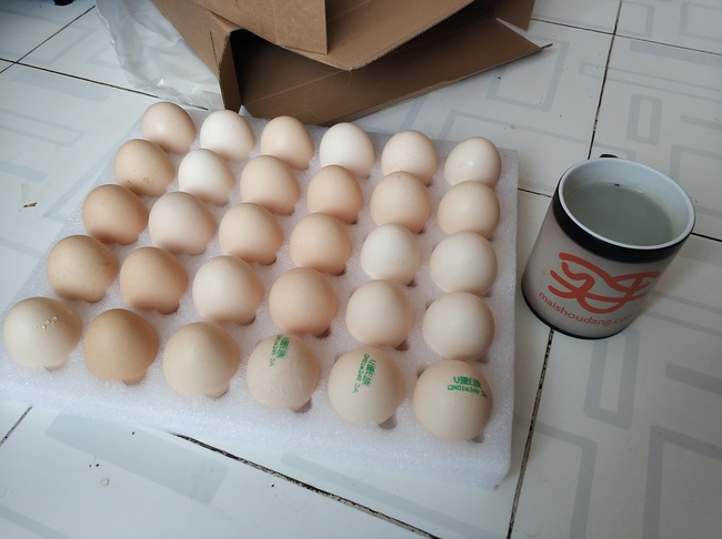 苏宁易购 鸡蛋晒单 水杯加持后130金币奖励 买手党-买手聚集的地方