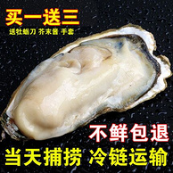 每日一补！blossoming 胶东海鲜 70-90g 新鲜牡蛎（生蚝）5斤装
