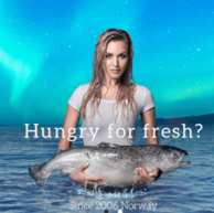 双12预告 网罗全球海鲜美食： icefresh旗舰店
