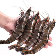 虾长16-18cm、就是大：越南进口 沃派 黑虎虾 400gx4件