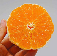 买一送一！云依禾农庄 青见柑橘 2.5kg x2件