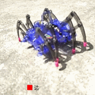 可动能爬坡：LANDZO/蓝宙 拼装电动爬行蜘蛛机器人