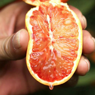唯一富含花青素的水果：3斤 浦甜 新鲜塔罗科血橙子