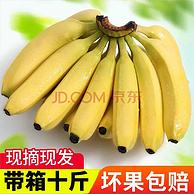 京东PLUS会员: 2斤装x5件 冷链配送  精选云南高山大香蕉