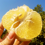 唐鲜生 黄金葡萄柚 5斤彩箱装（3-5个）