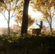 26日0点：《猎人：荒野的呼唤》PC中文数字版游戏