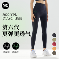 夏季薄款 YPL 高压能量6代小狗瑜伽裤