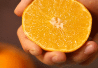 应季水果、柑橘界的“王炸”：可以“吸”着吃的四川爱媛38号果冻橙