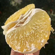 柚中爱媛！台湾 鸡尾葡萄柚 4.5~8.5斤多规格可选