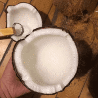榨椰奶、直接吃、炖汤三绝 ：海南 文昌 老椰子 6个