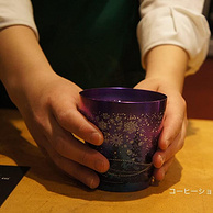 日本产，Horie 堀江 纯钛双层樱花情侣对杯250mL*2只装