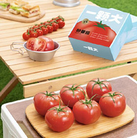 一颗大 粉番茄西红柿礼盒装 550g*4盒*2件