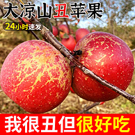 誉福园 四川大凉山丑苹果盐源富士 5斤起（60mm起~90mm）