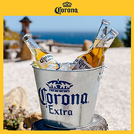 Corona 科罗娜 精酿啤酒330mL*24瓶 赠八角杯