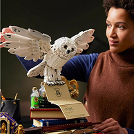 LEGO 乐高《哈利·波特》霍格沃茨 海德薇20周年纪念版珍藏积木 76391