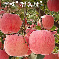 全国农产品地理标志产品，猗浩鲜果园 山西临猗红富士苹果 4.5斤/95mm以上