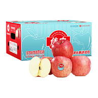Goodfarmer 佳农 陕西洛川高原超甜苹果10斤装（单果160g+） 48.8元包邮（4.8元/斤）