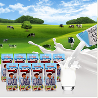 德国进口  维牧全脂纯牛奶200ml*24盒装
