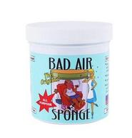 Bad Air Sponge 甲醛污染空气净化剂400g