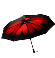 BANANA 胭脂红 双层防晒防紫外线折叠太阳伞