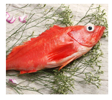 红鱼长什么样子图片图片