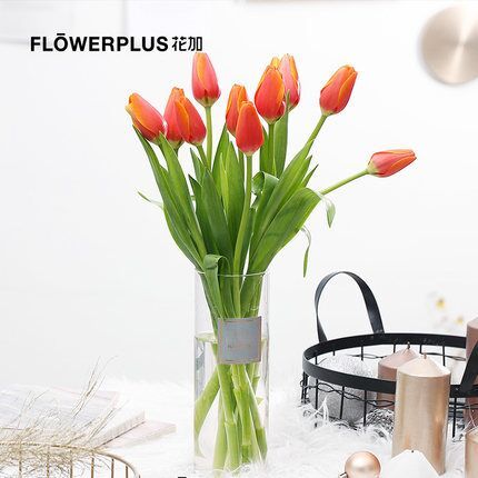 鲜花预定，FlowerPlus 花加 郁金香10枝 49.9元包邮 买手党-买手聚集的地方