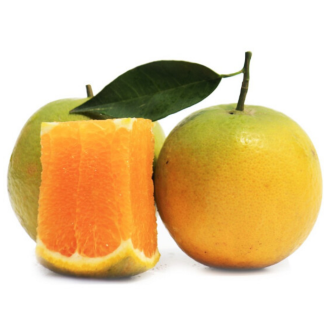 移动端： 秭归夏橙 橙子 新鲜水果 5斤 拼团价18.8元包邮 买手党-买手聚集的地方