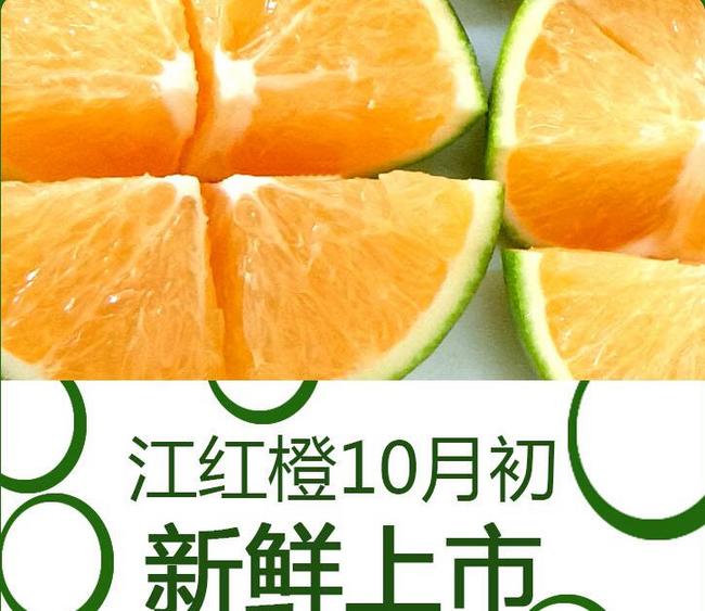 应季水果，果内猫 江红橙青橙子10斤 满减+券后24.8元包邮 买手党-买手聚集的地方