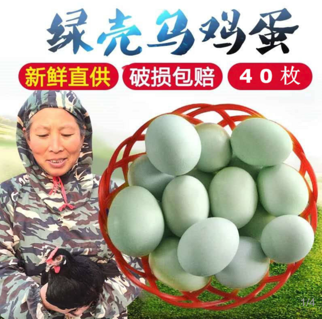 绿壳鸡蛋农家散养土鸡蛋 40枚 28.8元 买手党-买手聚集的地方