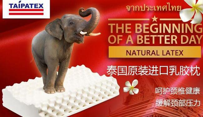 泰国第一乳胶品牌，提高睡眠质量，德标认证：2只 TAIPATEX 天然乳胶枕 298元到手，折合149元/只，3期免息 买手党-买手聚集的地方