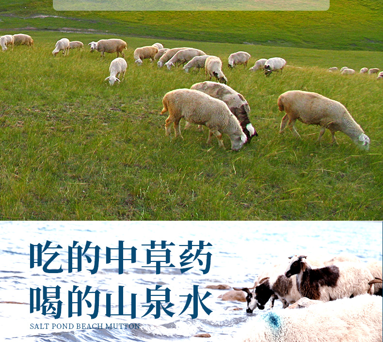 中国地理标志产品 4斤整 6-8月盐池滩羊 羊后腿 188元包顺丰冷链 送炖肉包 买手党-买手聚集的地方