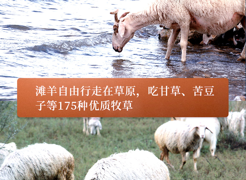 中国地理标志产品 4斤整 6-8月盐池滩羊 羊后腿 188元包顺丰冷链 送炖肉包 买手党-买手聚集的地方