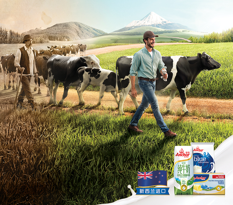 新西兰进口：258gx24盒 安佳 全脂纯牛奶 77元包邮 买手党-买手聚集的地方