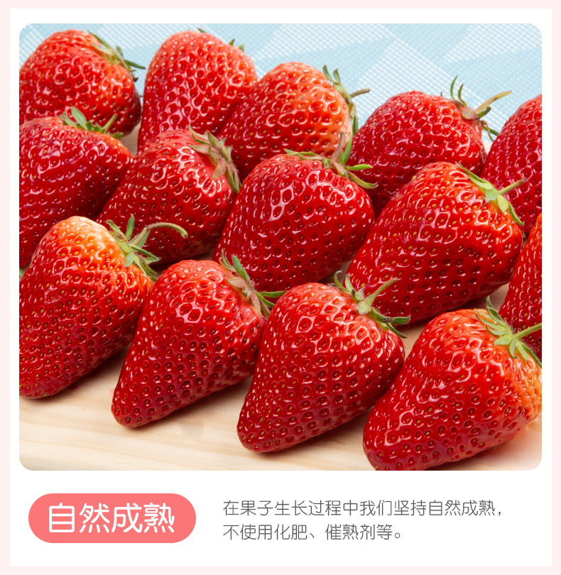 自有草莓基地直发，当季现货：2斤 馨仙 奶油草莓 券后48.8元包邮 买手党-买手聚集的地方
