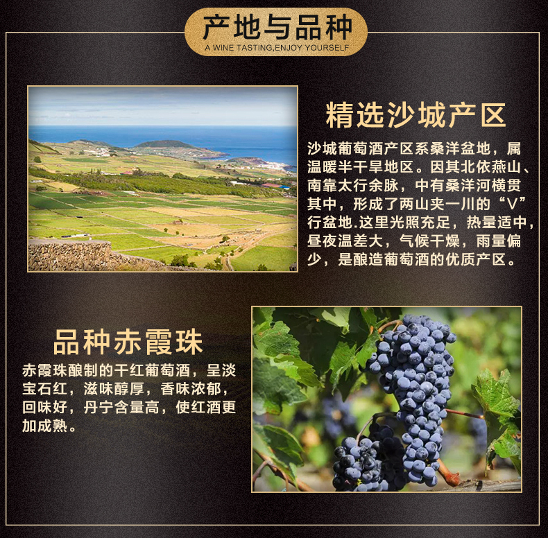 中国红酒第一品牌：750mlx6瓶 长城 窖酿赤霞珠 干红葡萄酒 159元包邮 买手党-买手聚集的地方