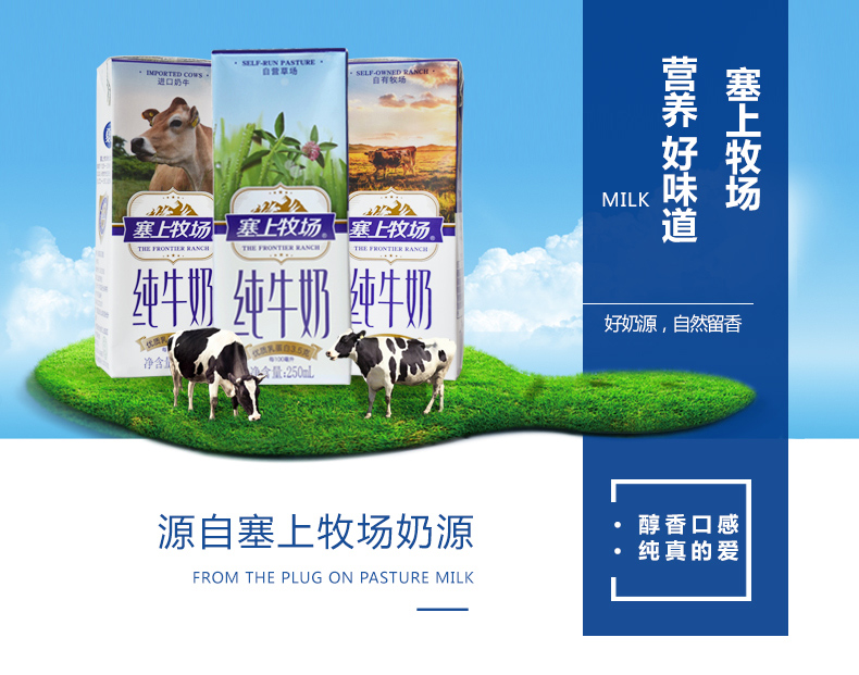 中国驰名商标，3.5g高蛋白：250mlx12盒 夏进 塞上牧场 全脂纯牛奶 双重优惠46.39元包邮 买手党-买手聚集的地方