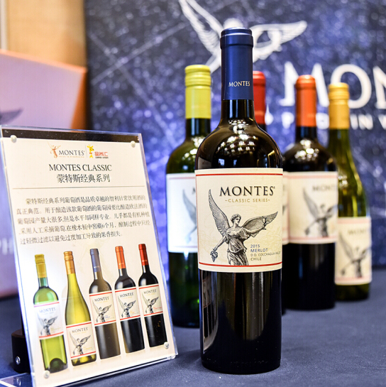 Montes 蒙特斯 经典系列 梅洛红葡萄酒 750mlx6瓶x2件 616.2元包邮（合51.35元/瓶） 买手党-买手聚集的地方