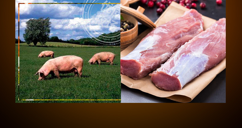 肉含量≥90%：900g 阿雷食品 哈尔滨红肠 10根 24.9元包邮 买手党-买手聚集的地方