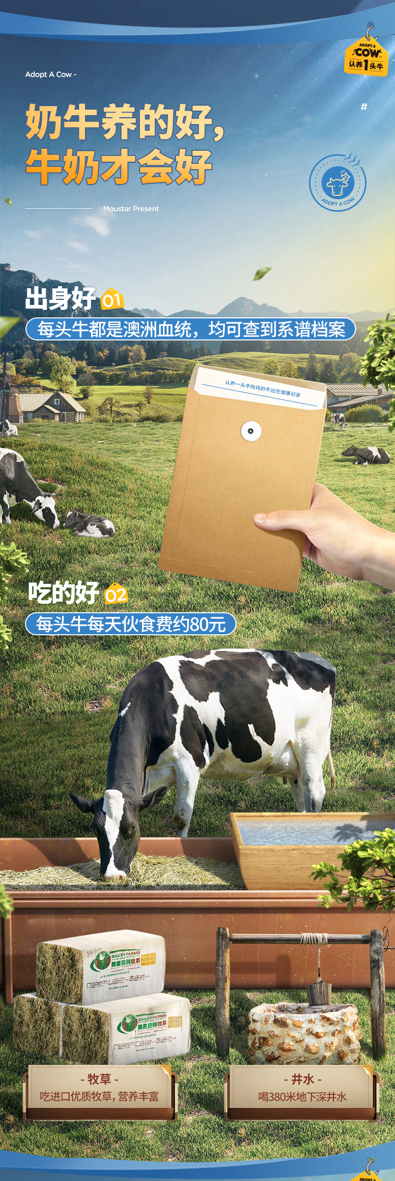 认养一头牛 全脂纯牛奶 250mlx12盒x2箱 79.9元包邮 买手党-买手聚集的地方