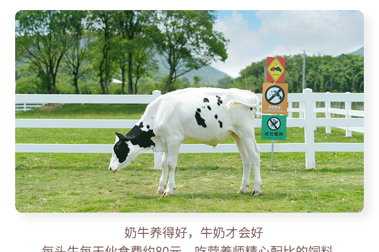 认养一头牛 高端法式酸奶 230gx10瓶x2提 99元包邮 买手党-买手聚集的地方