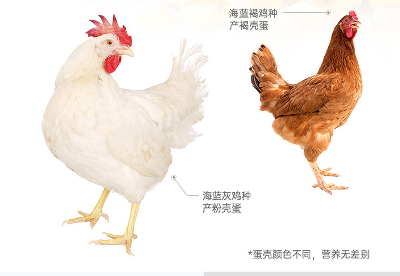 安全可追溯，德青源 谷物饲养鲜鸡蛋 30枚 1.29kg 39.9元包邮 买手党-买手聚集的地方