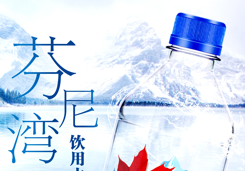加拿大进口：芬尼湾 蓝标冰川饮用天然弱碱水  500mlx12瓶 29.9元包邮 买手党-买手聚集的地方