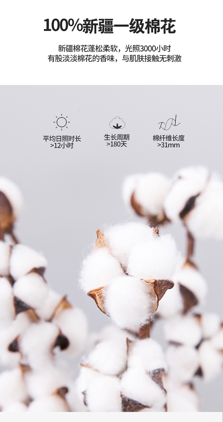纯新疆棉花被 开学必备冬被棉被3斤 59.9元包邮 买手党-买手聚集的地方