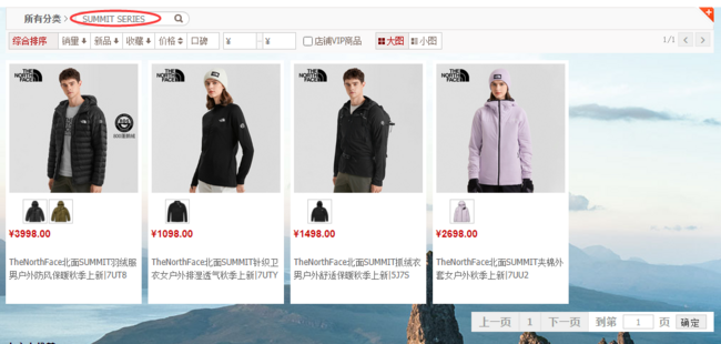 韩国订单 TNF SUMMIT SERIES系列 22款拼色半拉链冲锋衣外套 团购价209元包邮 买手党-买手聚集的地方