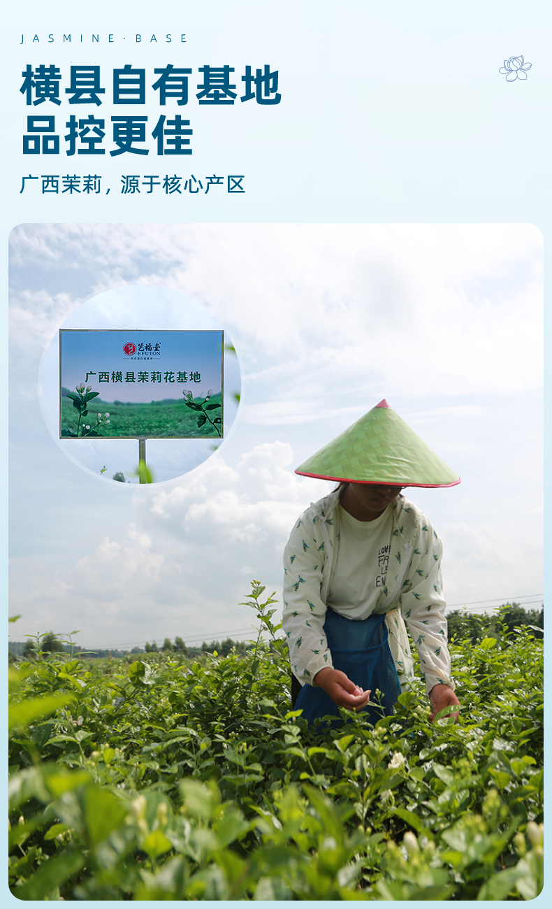 杭州亚运会官方指定用茶，艺福堂 2022新茶 特级茉莉香雪花茶 250g 新低33.1元包邮（双重优惠） 买手党-买手聚集的地方