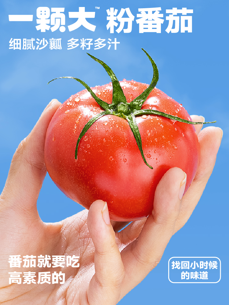 一颗大 粉番茄西红柿礼盒装 550g*1盒 9.9元包邮（需领券） 买手党-买手聚集的地方